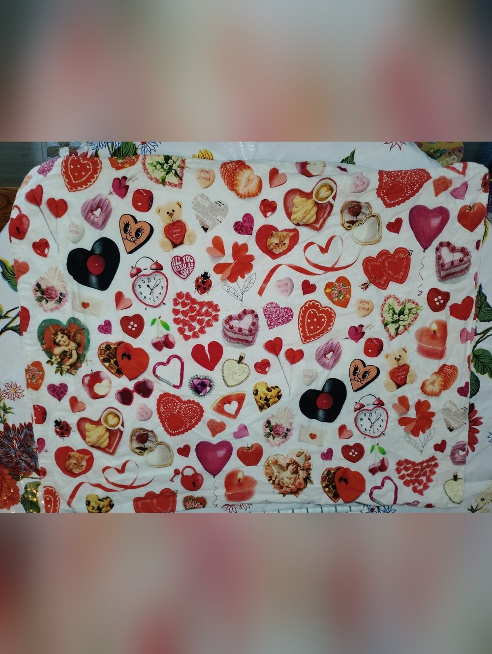Valentine's Heart 🍫 Pillow Shams Urban Outfitters New Without Tags